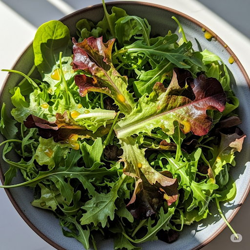 Salades Bio Variées : Guide Ultime pour un Mélange de Laitues,